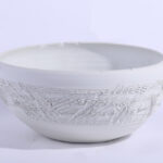 سندانة بونساي